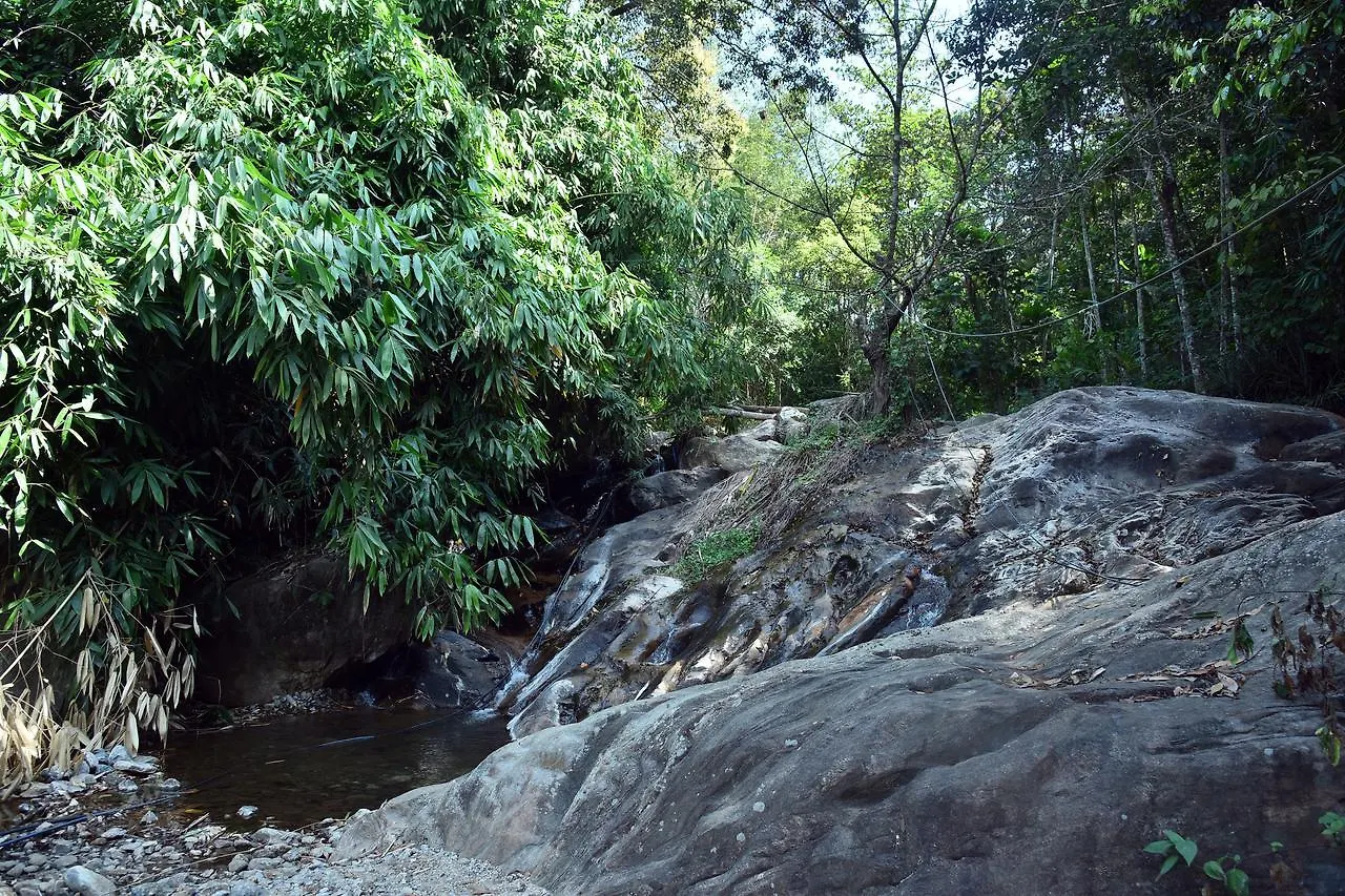 Planter'S Villa Munnar